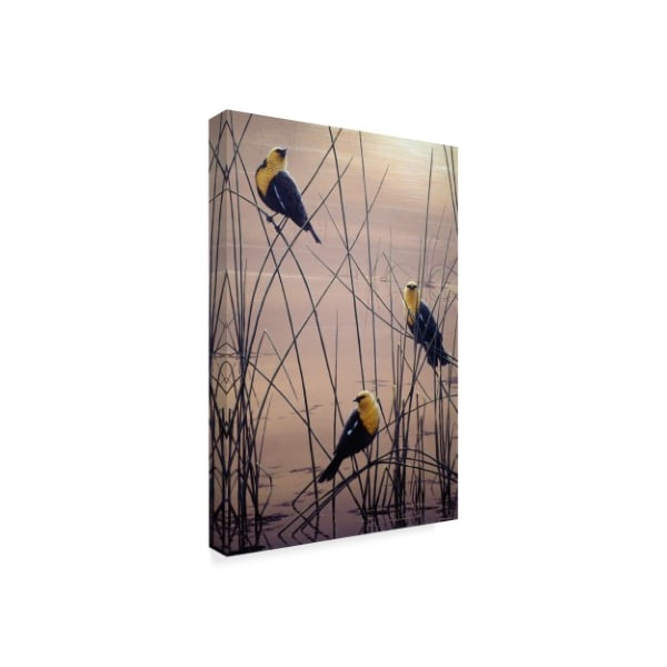 Jeff Tift 'Yellow Headed B Birds' Canvas Art,30x47